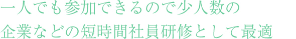 社員研修としてのビジネスマナー研修-少人数の企業などの短時間社員研修として
最適