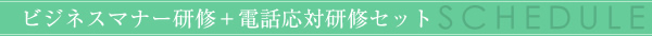 ビジネスマナー研修＋電話応対研修セット